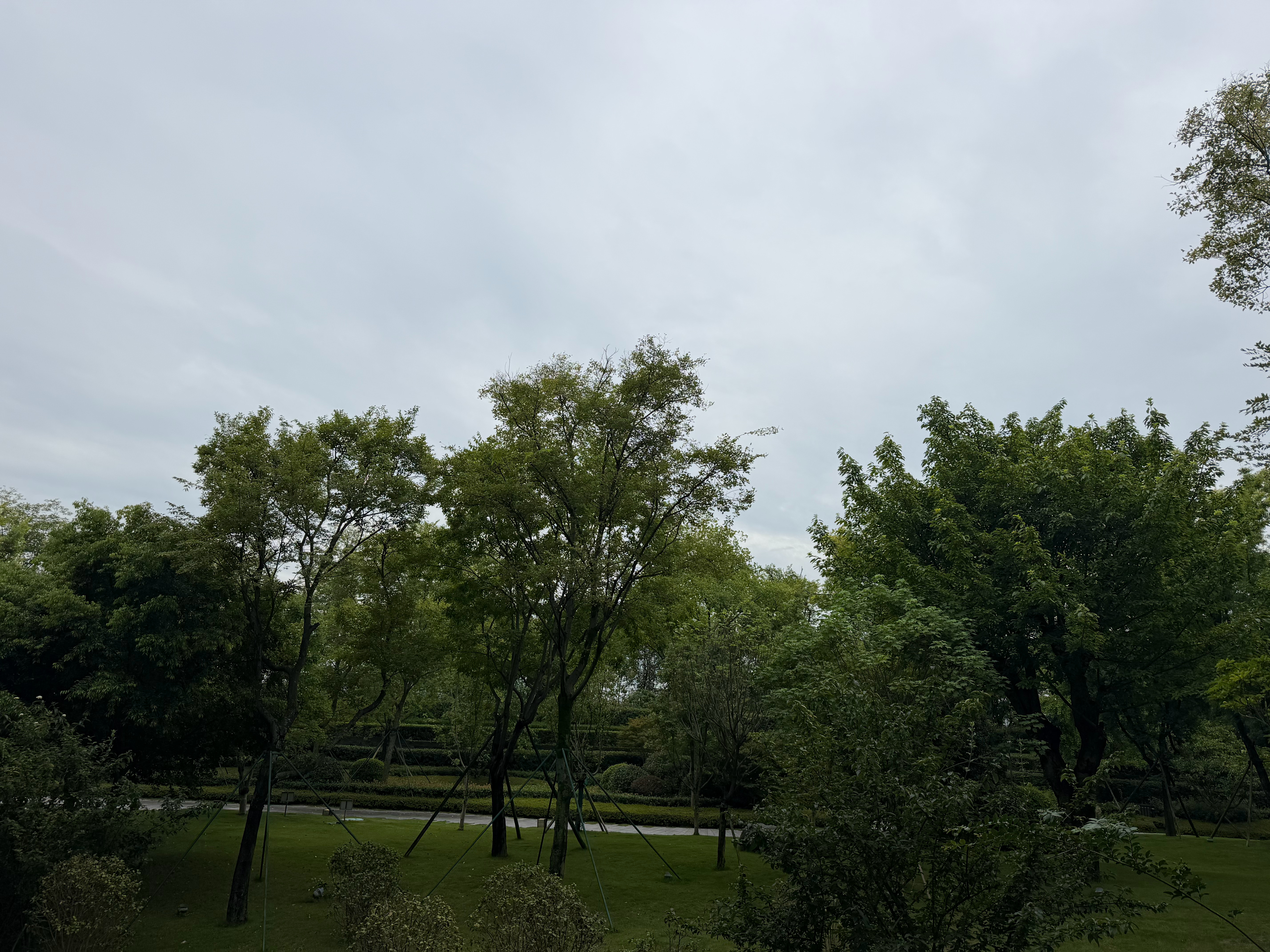 ip闪现期待明天的享界G9，而且沈腾和杨幂也会来哦～ 成都·成都盛美利亚酒店-湖