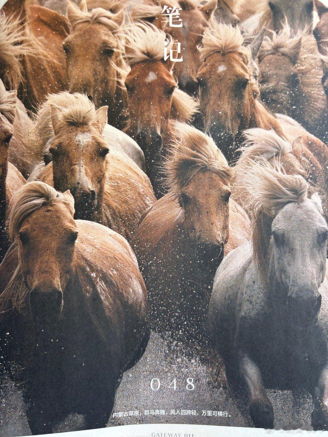 马虽多；但是屁股只有一个；只能骑一个。 