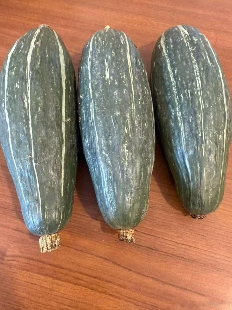 种植 🥬 微公益 🥬南瓜种植方法南瓜喜温暖光照充足的环境，最佳播种时间为春季