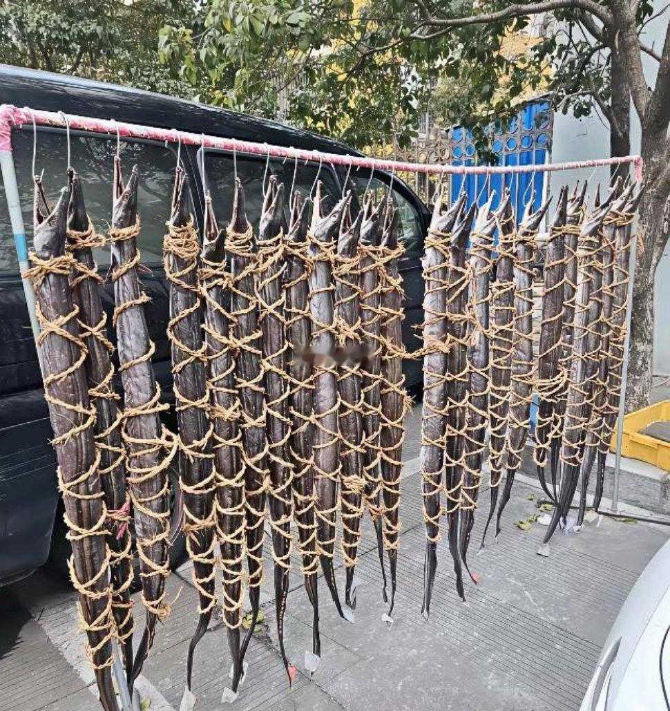 不懂就问，为什么要这样绑起来？ ​​​