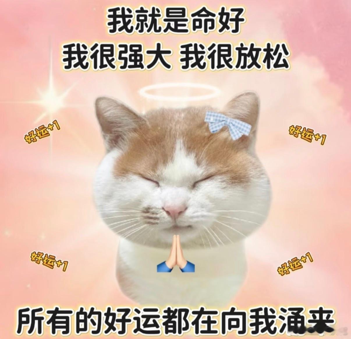 和我妹聊天，他们班里知道预科的少数民族家长，直接让孩子报了预科。平时考试比她低几
