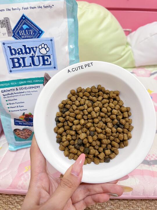 🐾人生建议：幼猫第一口粮直接选蓝挚！