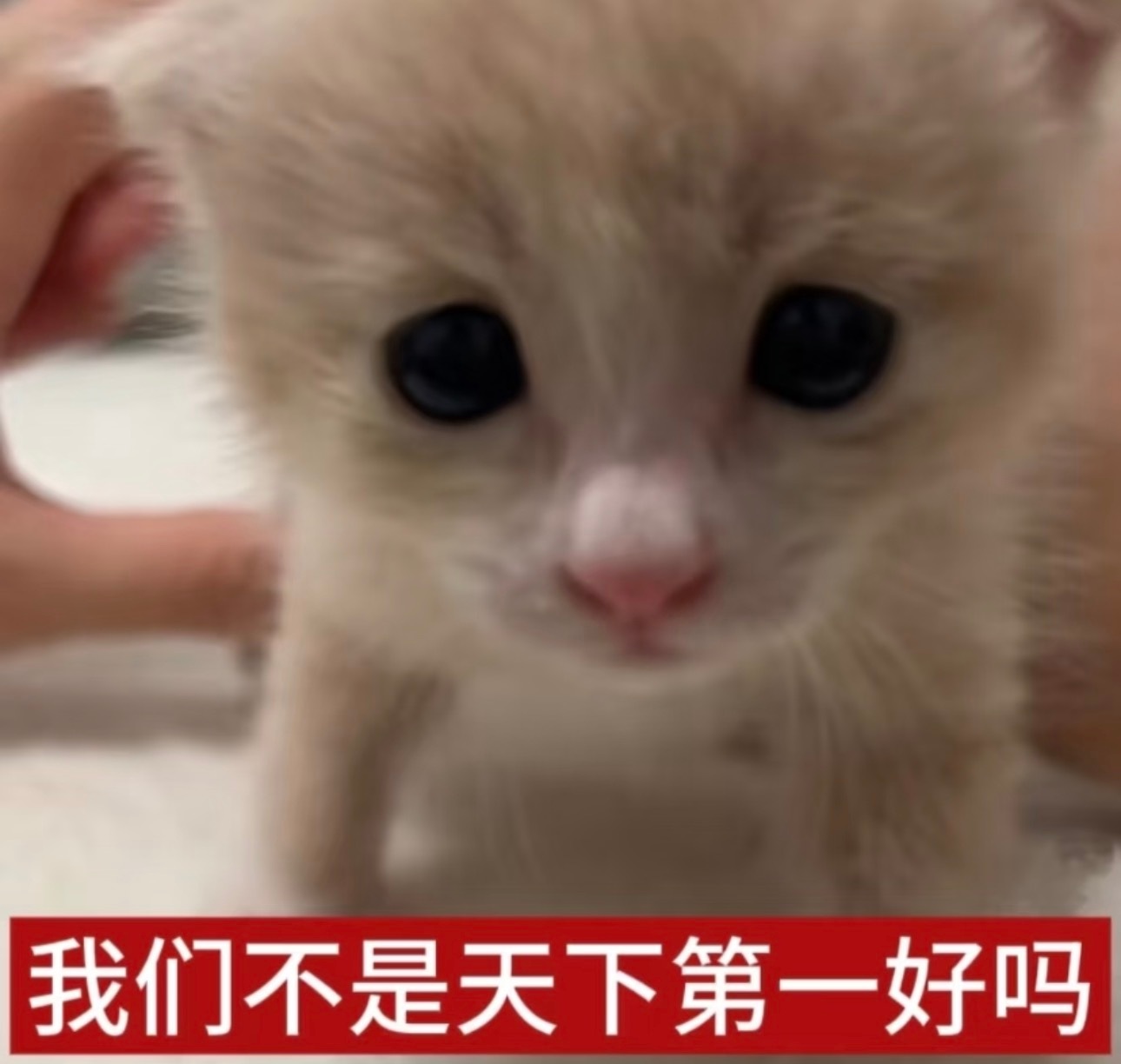 让我们一起携手步入超话，一起做任务吧1️⃣签到发帖超like【发帖8万】先去王一