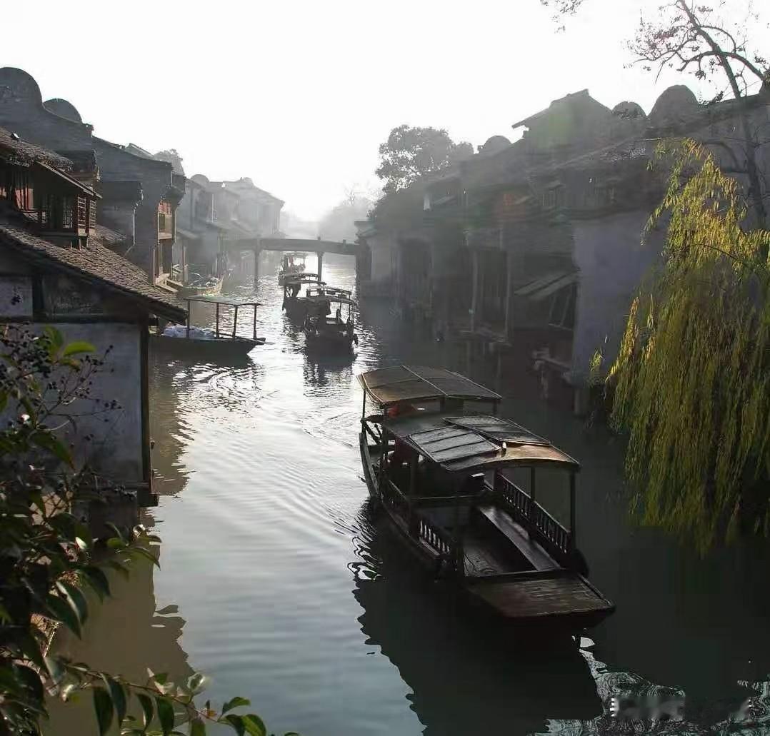 春风拂面，万物复苏，马年的春天，正带着温柔与希望悄然而至。
 
熬过了冬日的沉寂