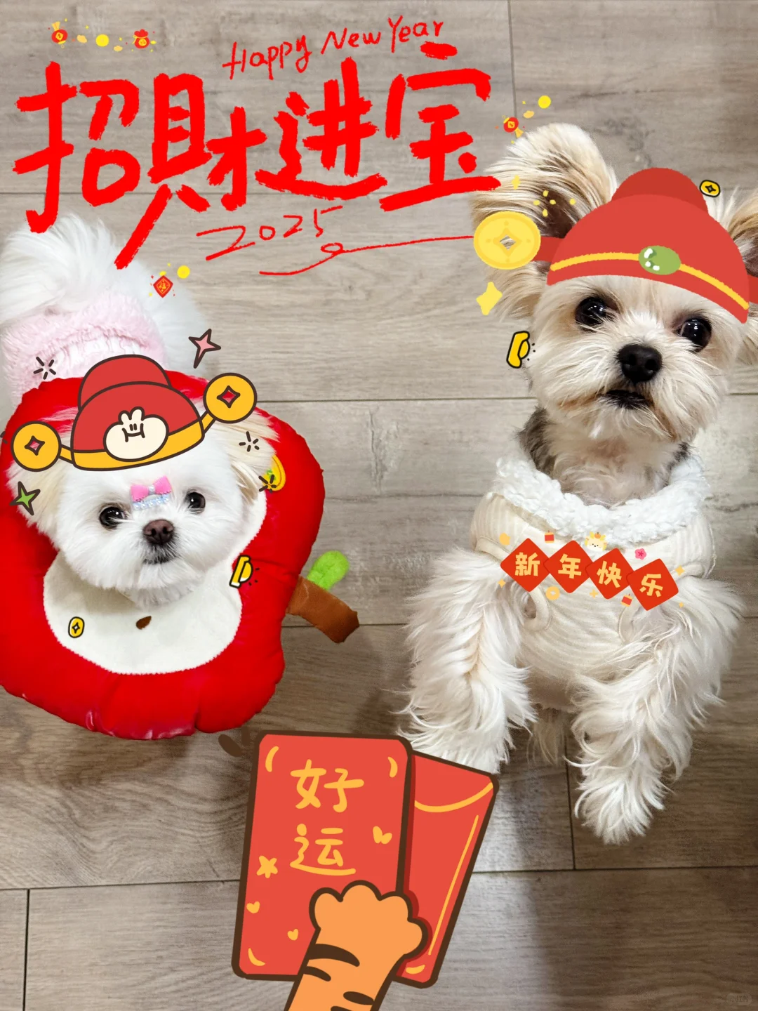 “汪”事如意、“汪”事大吉、拜年啦！汪汪汪～