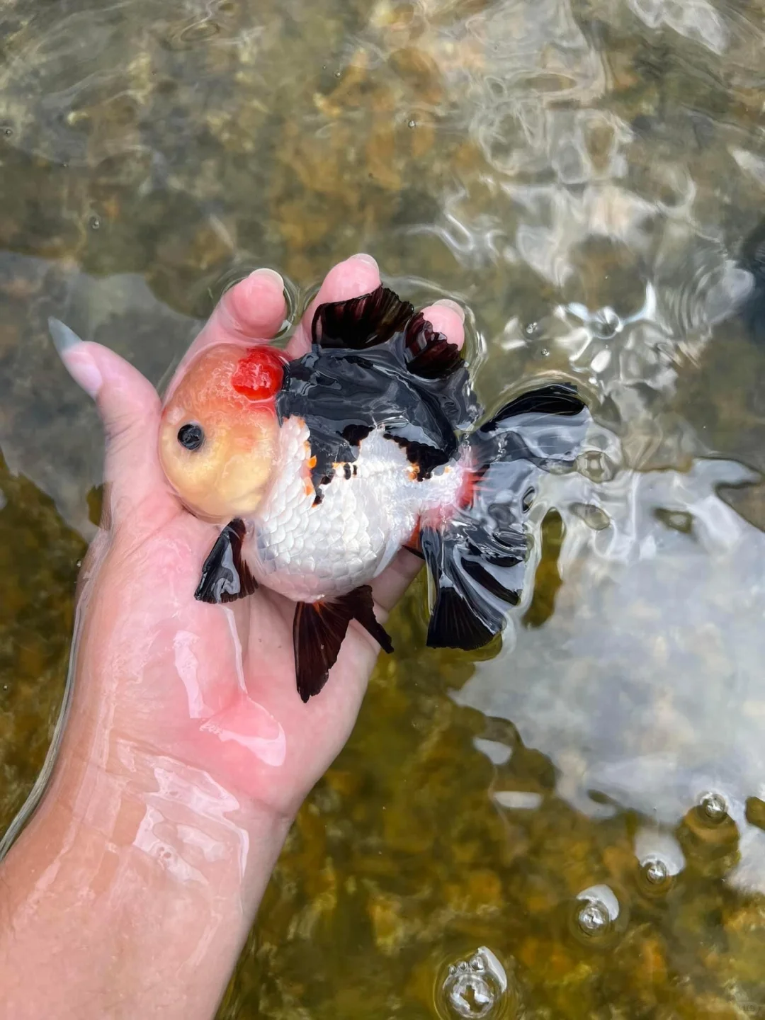欣赏一下！