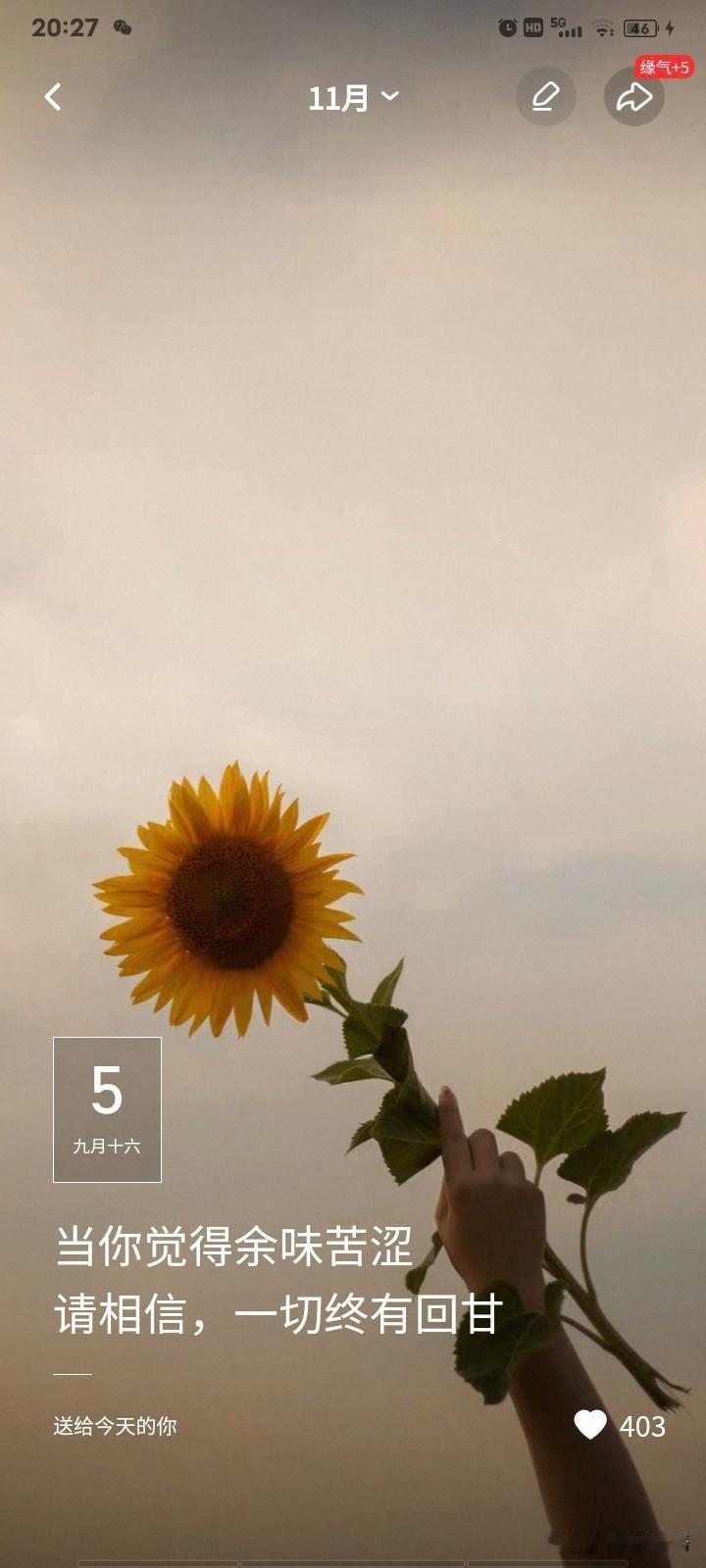 我相信老天自有安排，一切都会越来越好[灵光一闪]