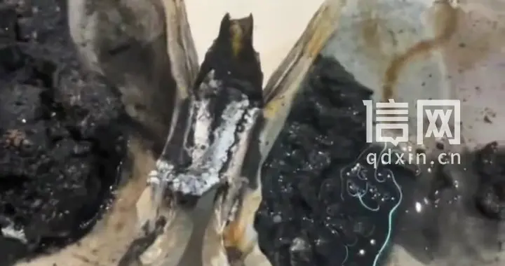 杭州一海底捞“天鹅蛋”煮完后变黑 所谓“天鹅蛋”实为贝类海鲜