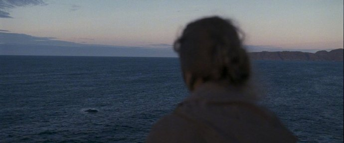 2026柏林电影节片单本届柏林电影节宣布： 艾米·亚当斯主演、凯内尔·穆德卢佐导