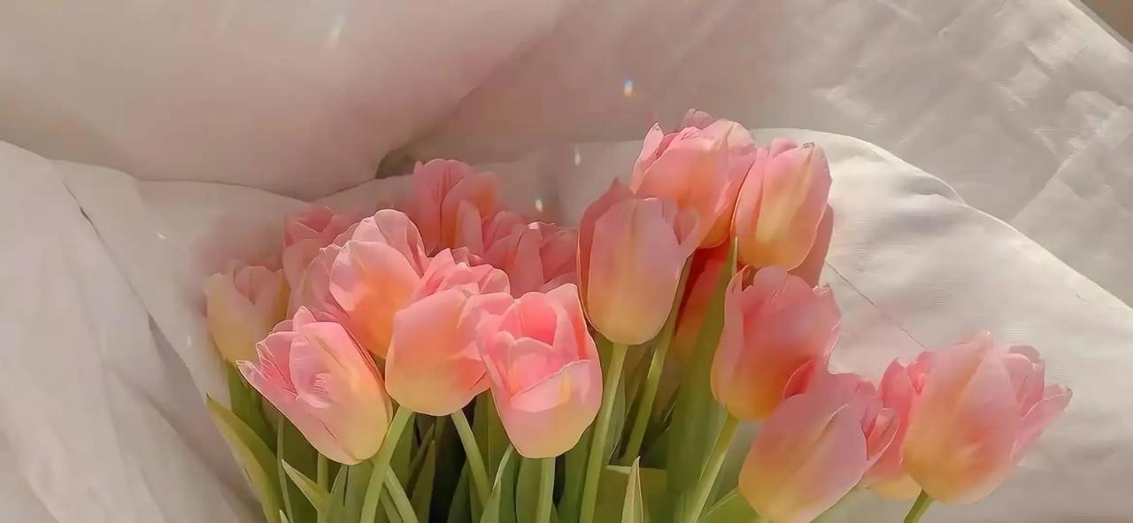 #婆媳# #婚姻与家庭# #公婆# 
婆媳关系并不都是不好的
明事理的婆婆有很多