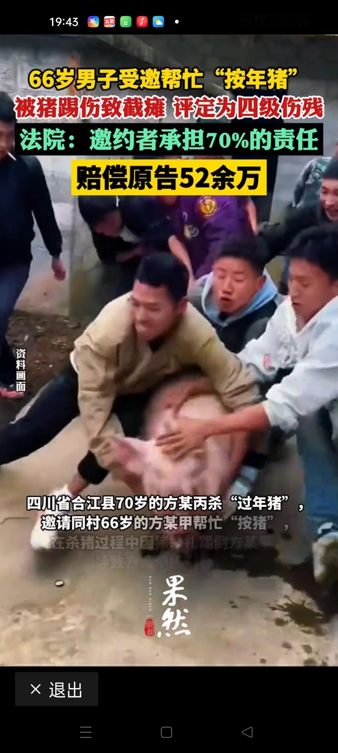 那一幕，令人心碎又愤怒：男子为了帮朋友按猪，竟然被猪“踢”成了截瘫。这个看似荒诞