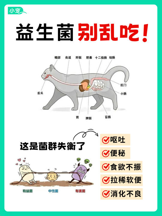 乱吃益生菌=害了猫？ 千万别乱喂