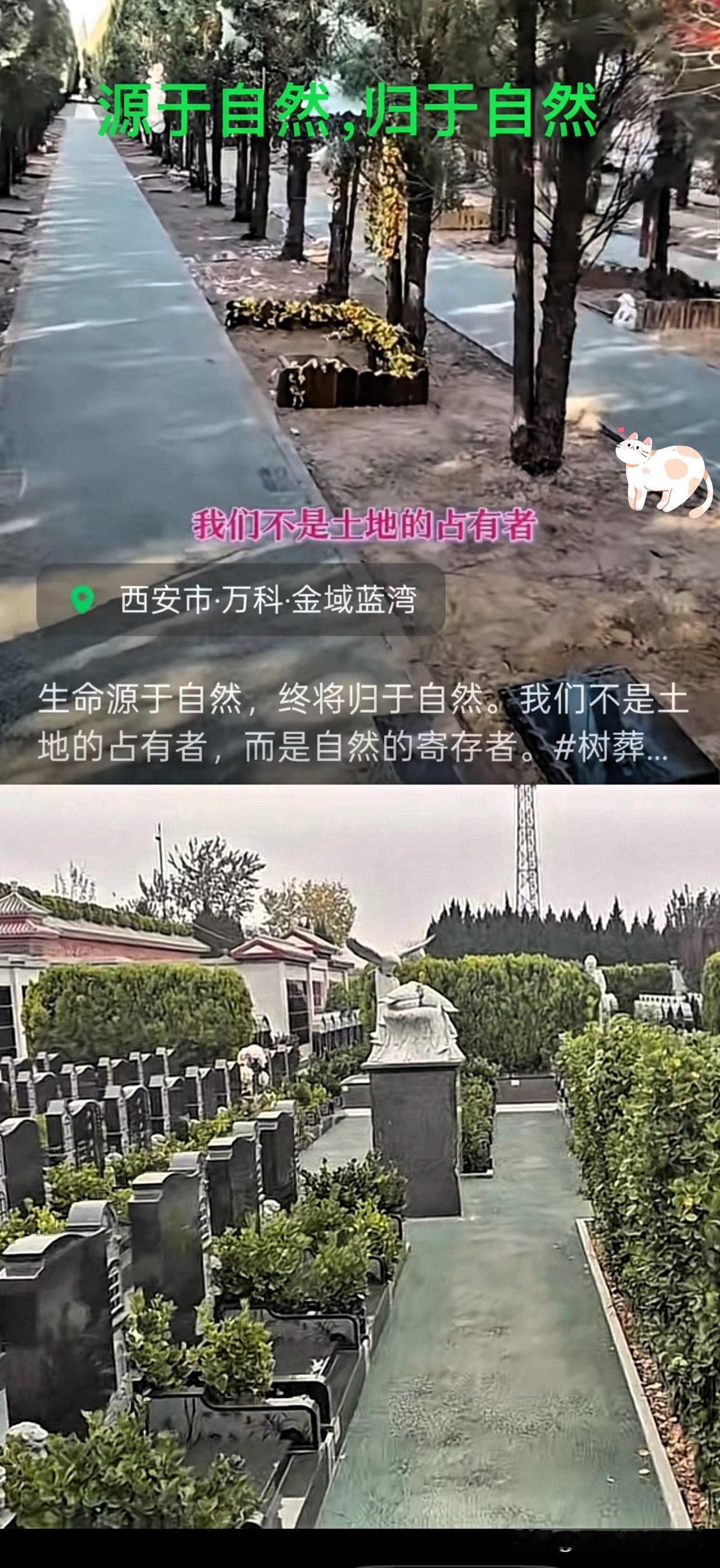 殡葬行业新规来了！

今天晚上和一个以前殡葬行业的老同事一起吃饭时说现在丧葬行业