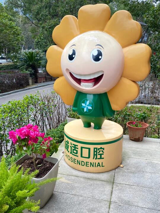 🦷种牙全记录，怕疼的姐妹们看过来！