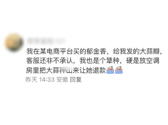 客服嘴硬，只要我不认，大蒜就是郁金香。买家一怒之下以创新的栽培技术为核心开展实验