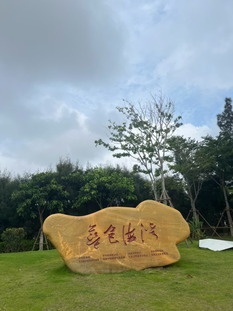 好日子来了。叫大儿帮我剪脚趾甲， 他照做了。 期间剪疼我两次， 我忍住没出声。剪