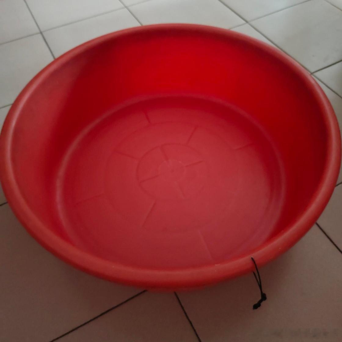 是不是所有的湖北人家里都有一个这样的大红盆？ 圈圈从小就在这个大红盆里面洗澡，夏