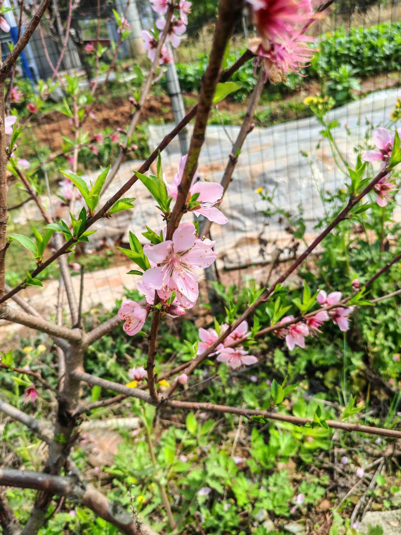 我的今日状态：😁轻松愉快
我这里的天气：☀️晴天