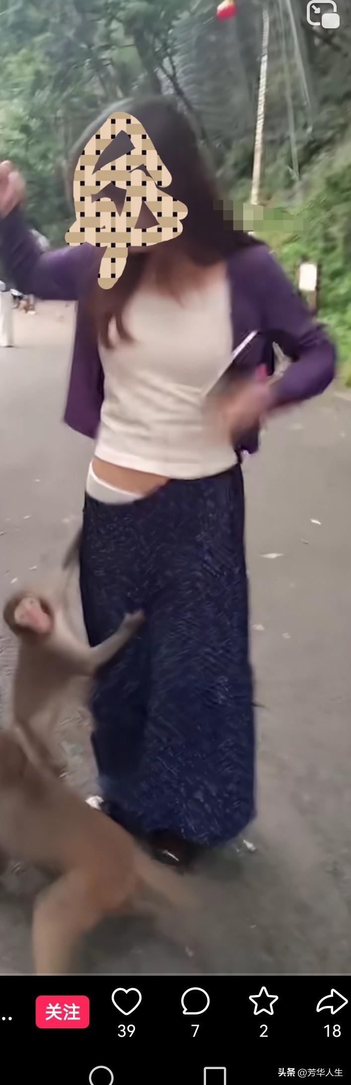 这猴子太调皮了，遇到这种猴子咋办？