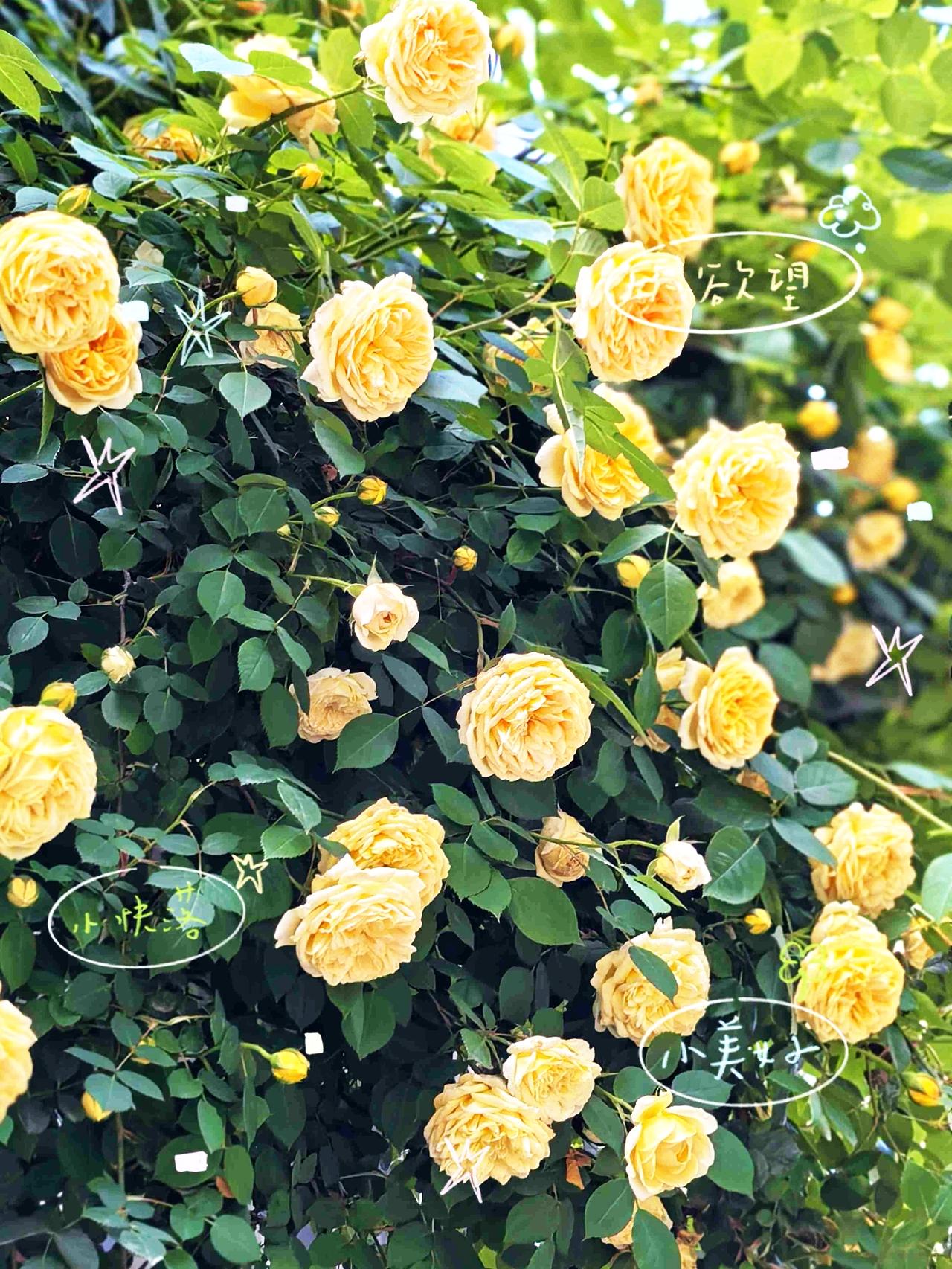 生活偶尔凌乱，
但花开永远准时。

带定位晒今日生活
我的今日状态：😁轻松愉快
