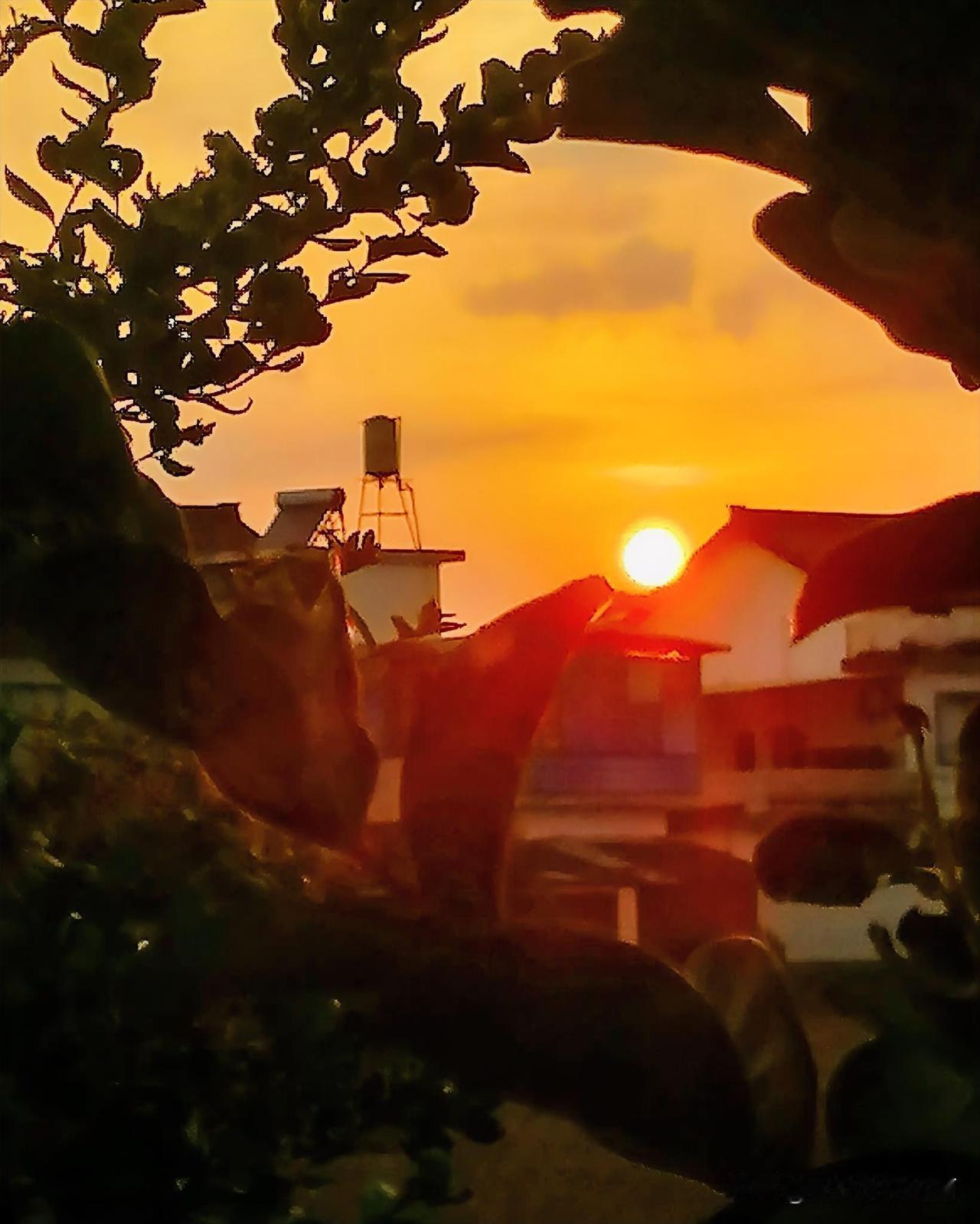 《夕阳西下（西安李林7月8日摄于汉中城固）》