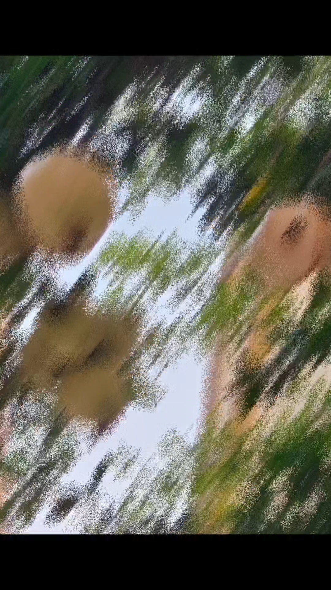 等夏天等秋天，等下个季节 ​​​