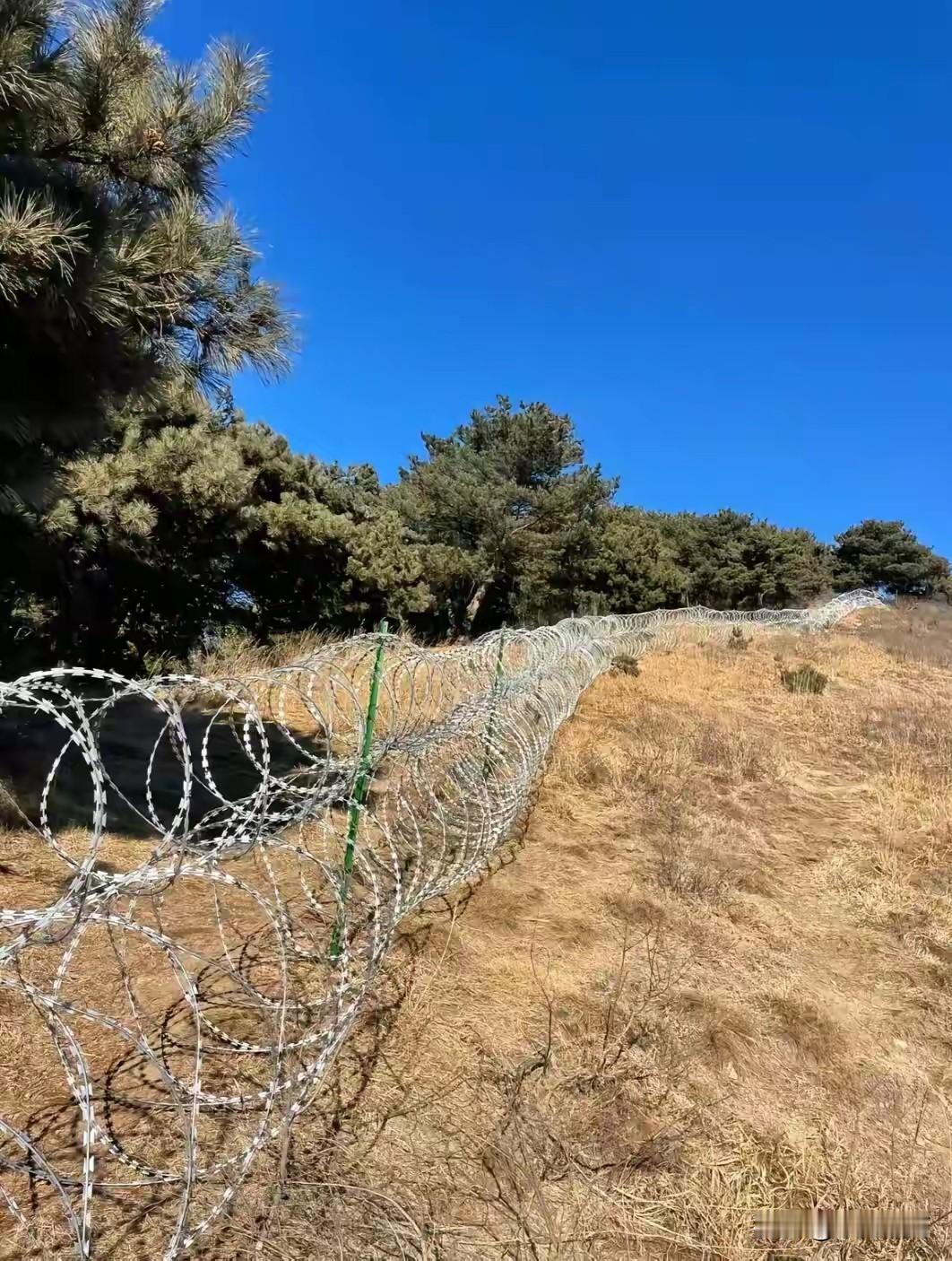 问道
 
晨雾漫过青石阶，一人负杖入深林。
 
松风穿谷，涧水泠泠，沿路不见碑帖