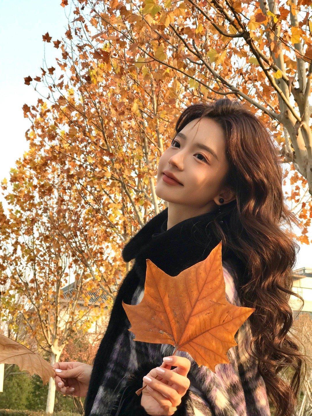 🍁 