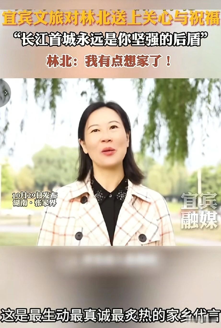 当宜宾文旅的祝福隔着屏幕递到林北（张博林）面前时，这个镜头前总笑着说“没事”的0