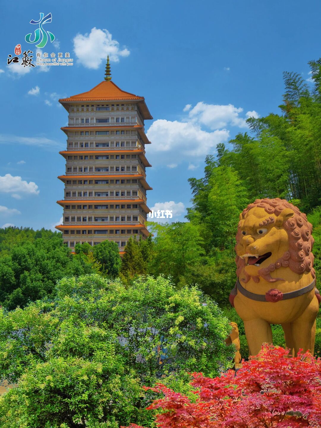 南京出发1h直达🌿朋友都以为我去了趟西藏！