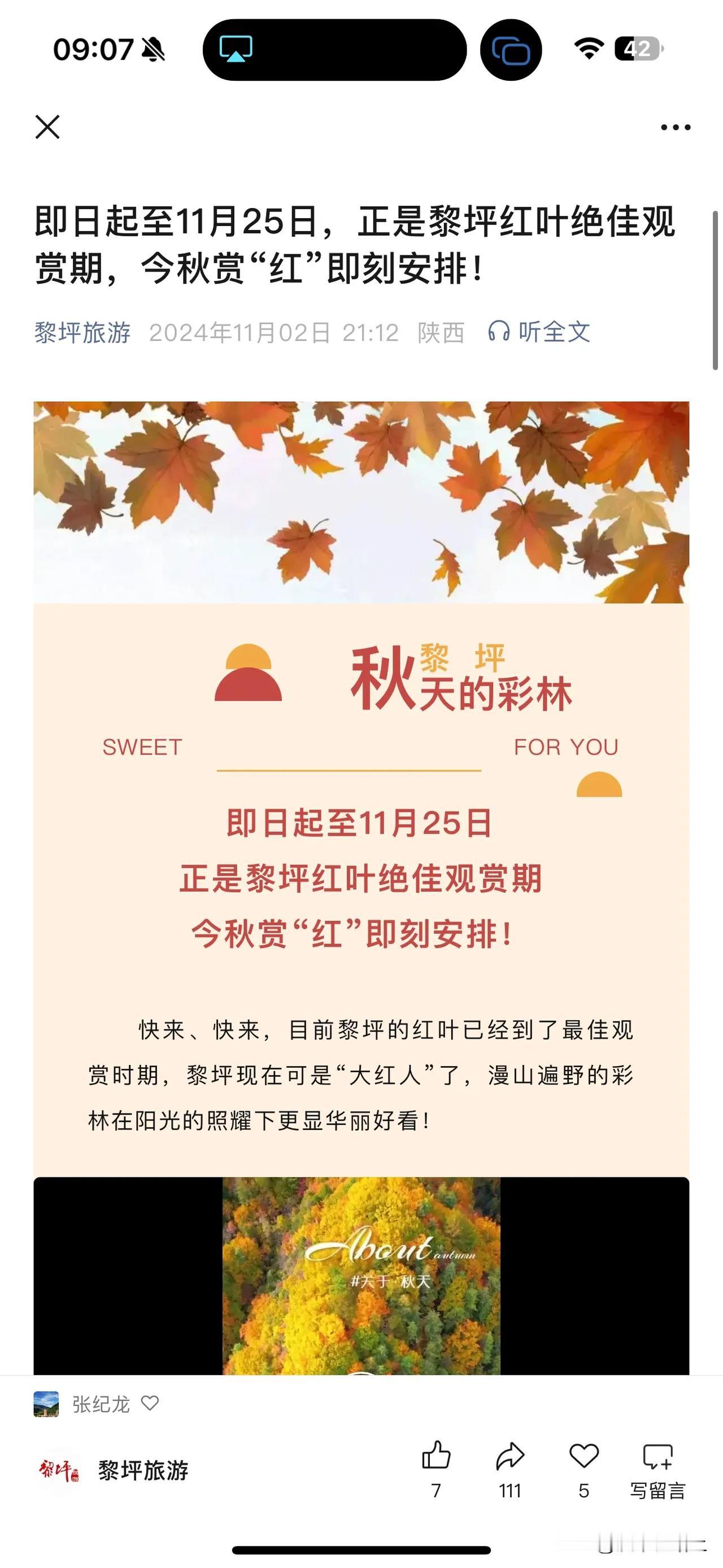 #汉中最美旅游#  汉中红叶🍁最佳观赏期已到！ 
即日起至11月25日正是黎坪