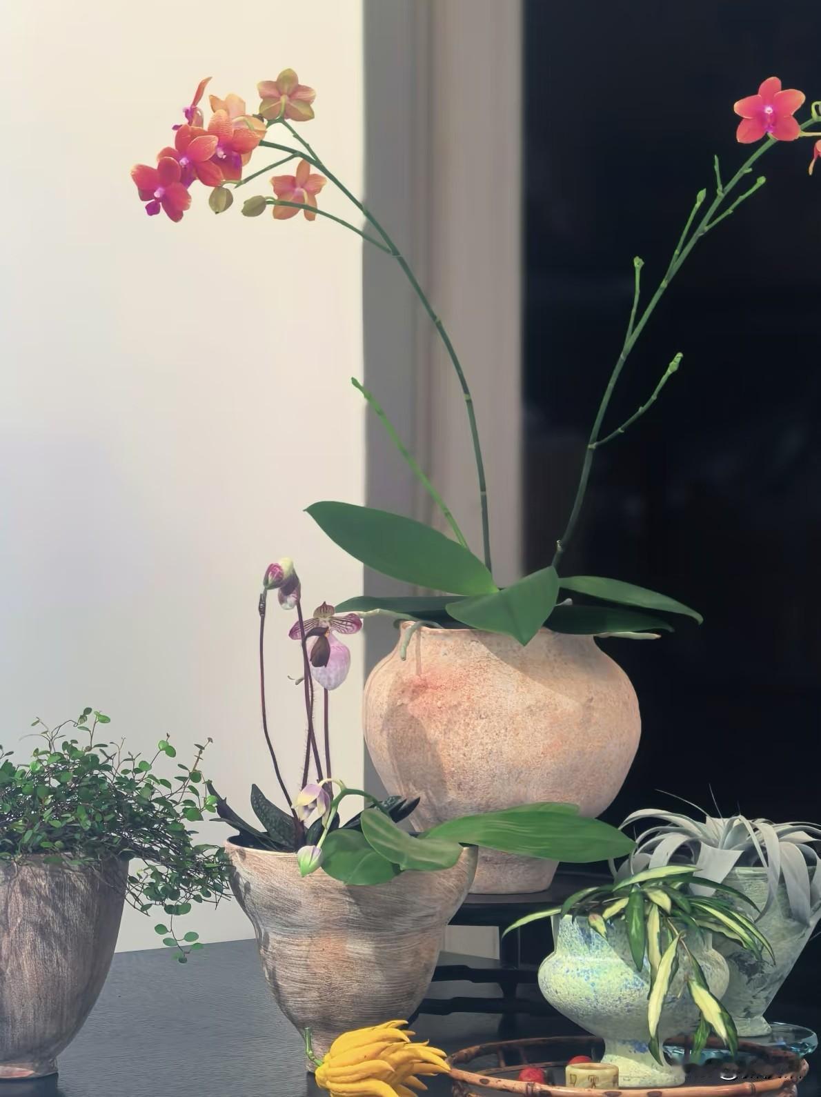 人生下半场②
不要演算唯要心安
你要自在不要事事走心
人这一辈子，总爱算账。上半