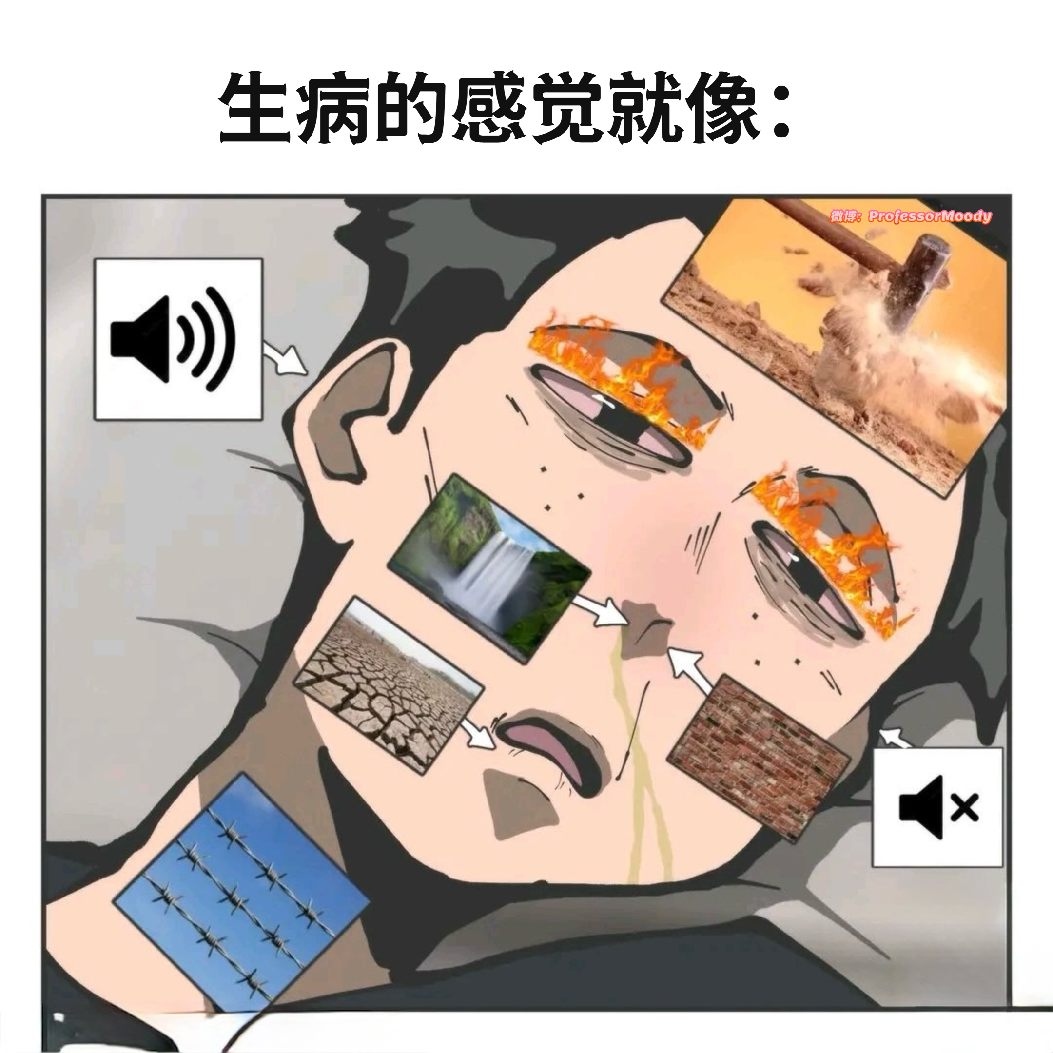 me_irl:meme ​​​