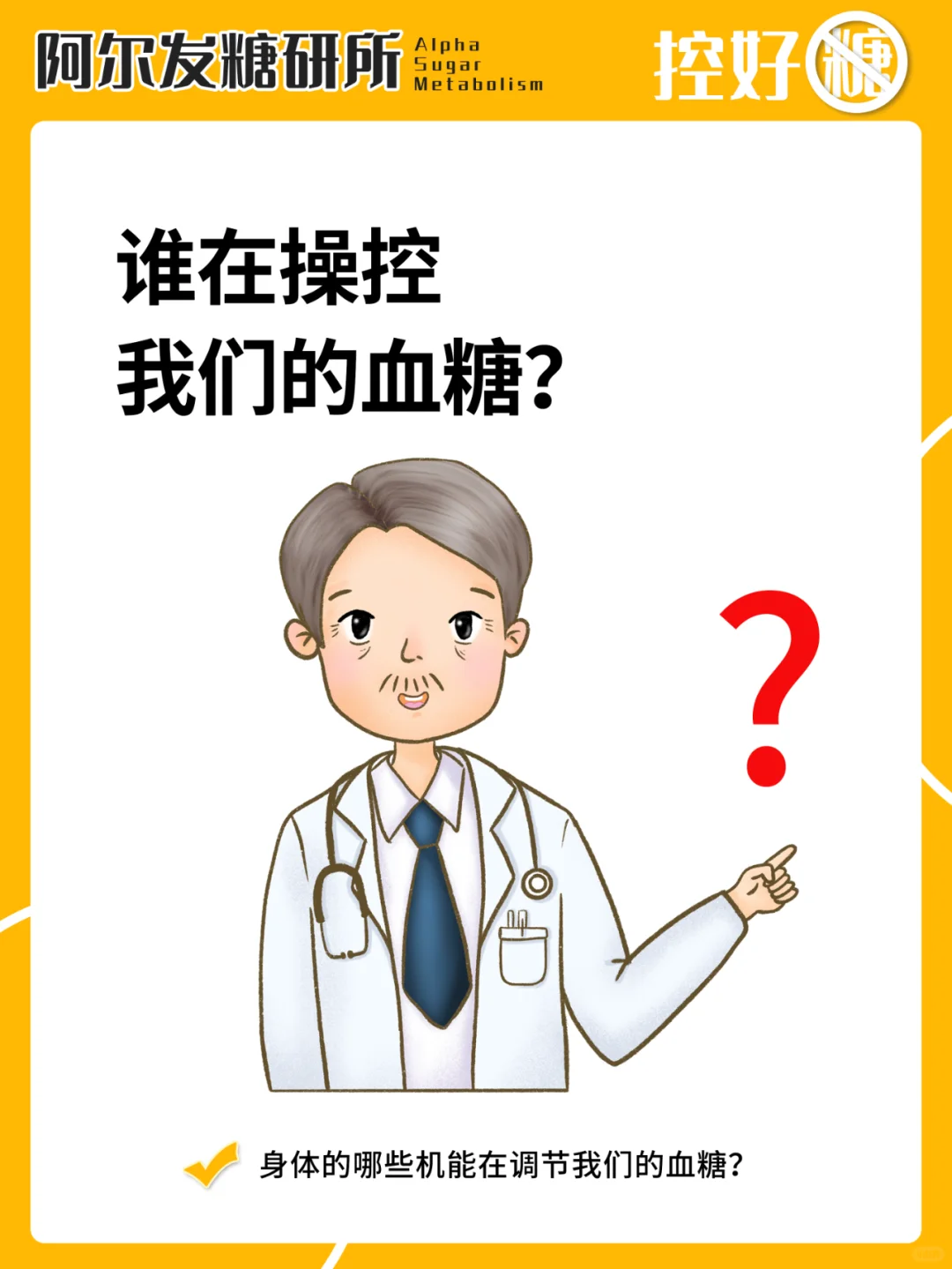 谁在操控我们的血糖？