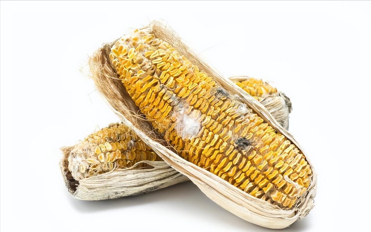 每到收玉米的时候就气喘，家人还以为她是偷懒，其实真被冤枉了
之前的一个女病人，被
