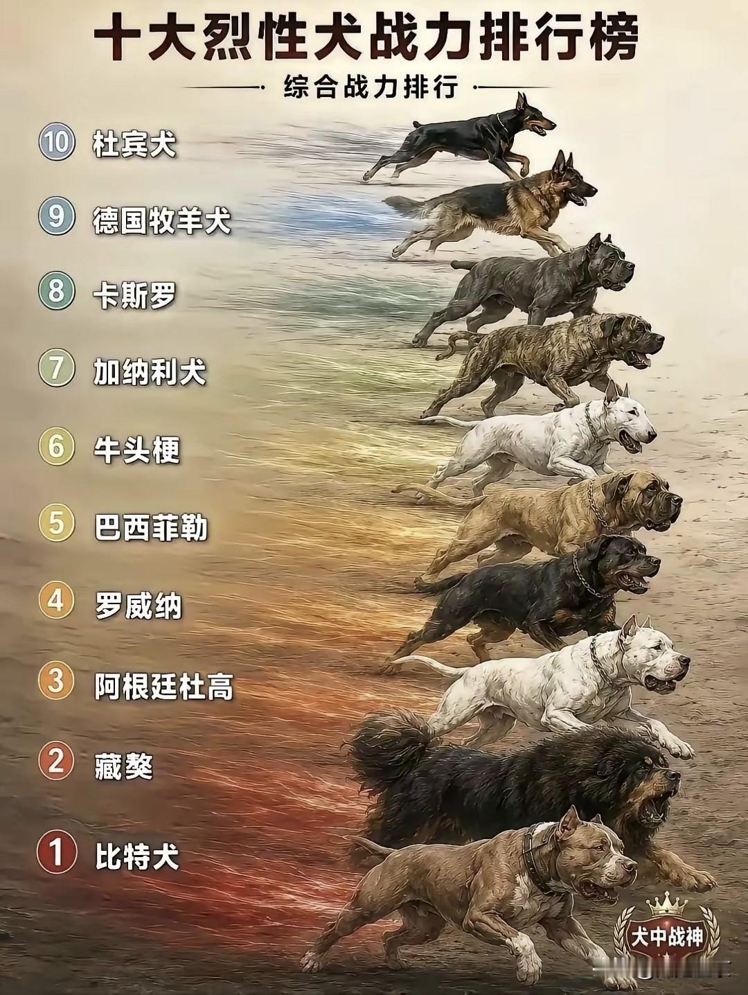 世界烈性犬战力排行榜…
 
榜单第一名给到了比特犬，被称作犬中战神。众所周知，这