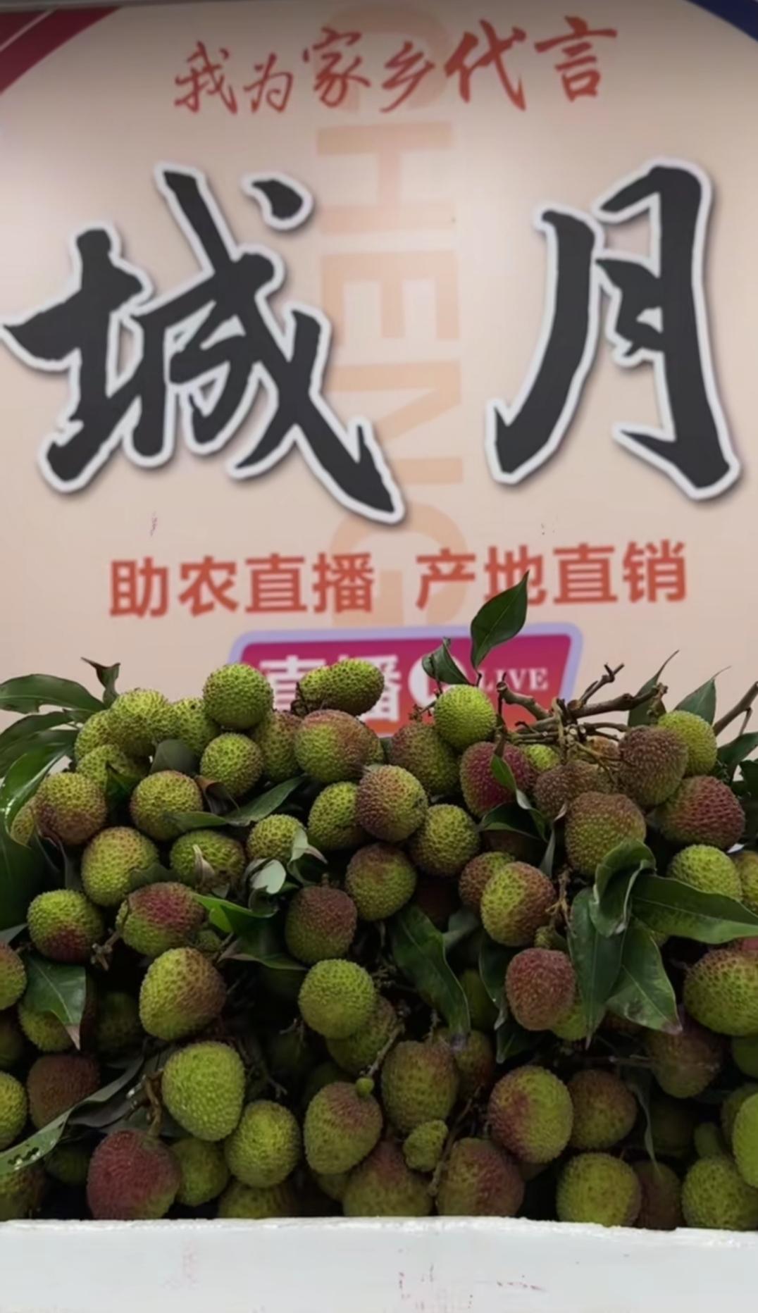从田间到云端：城月镇这场农产品推广活动，让我看到了乡村振兴的“破局”之路

当“