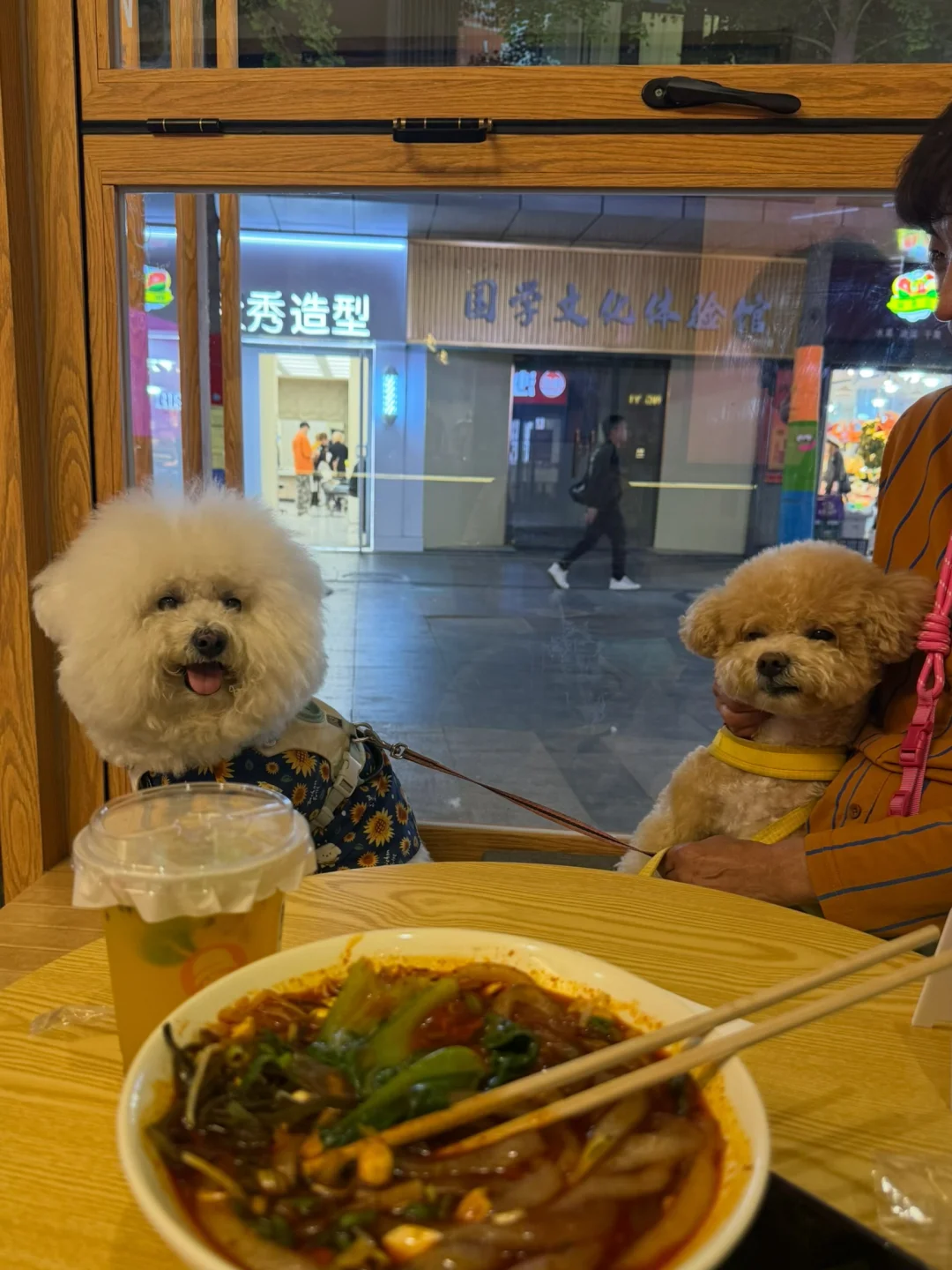 为了撸店狗 吃饱了硬点一碗酸辣粉😳