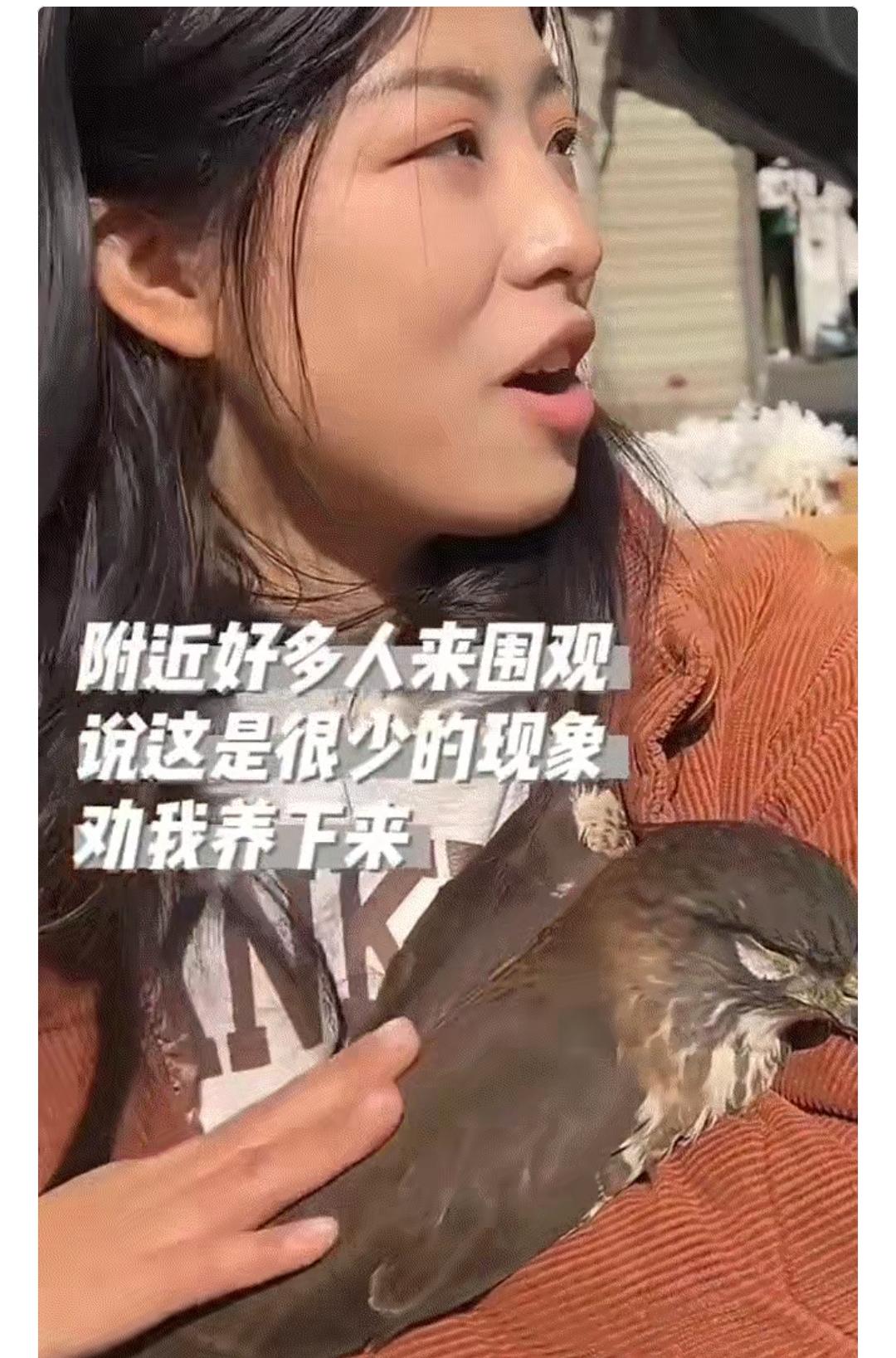 这下真解释不清了！四川，一女子出门晒太阳，突然一只大鸟向她飞奔过来，下一秒就趴在