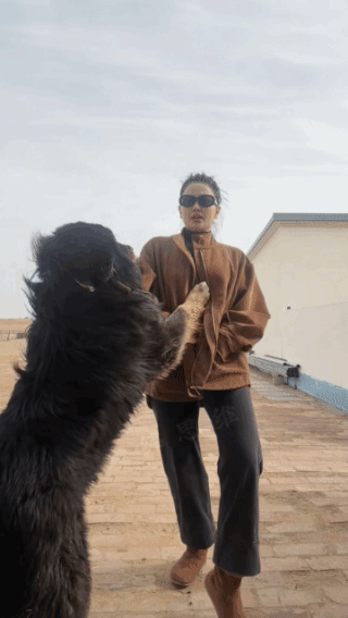 狗狗:
你可不敢神经了，
否则我可怎么活啊！