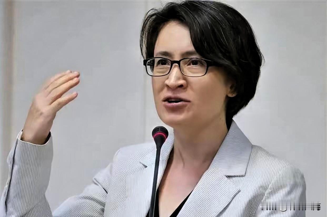蔡正元的爆料堪称岛内政坛惊雷！赖清德竟计划踢走萧美琴，这场“卸磨杀驴”的戏码，把