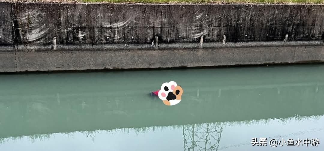 中国台湾地区台南嘉南大圳惊现红衣女子！民众吓坏，搜救人员打捞上岸已无生命体征。