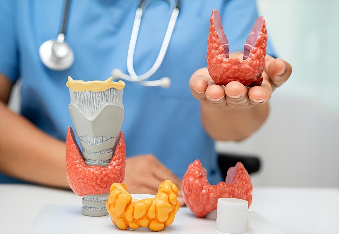 甲状腺科主任：甲状腺最危险信号，不是脖子粗，是频繁出现4异常

甲状腺出问题，患