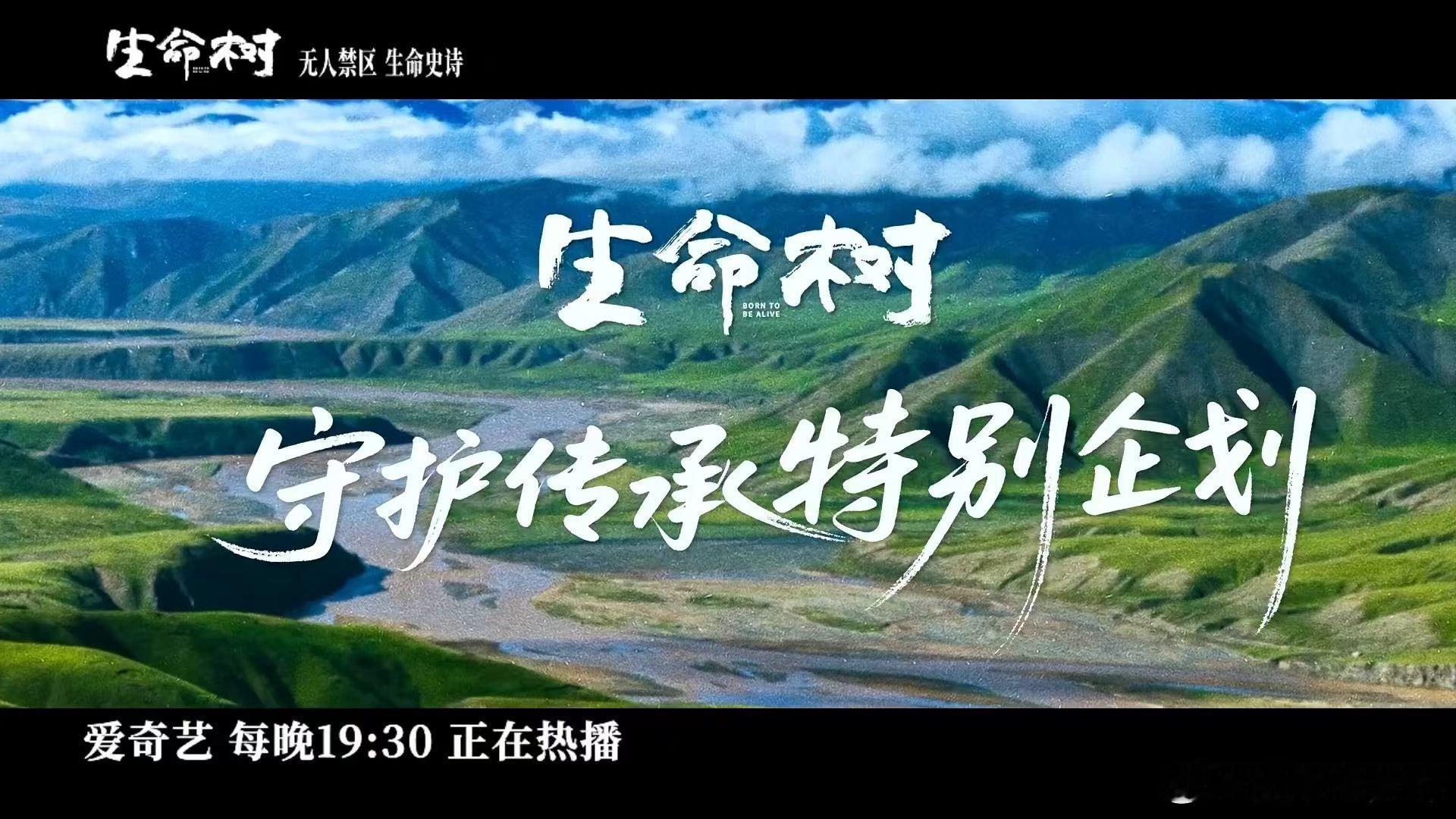 2026年无人区今非昔比了电视剧生命树以前只听说可可西里很美，看《生命树》才震撼