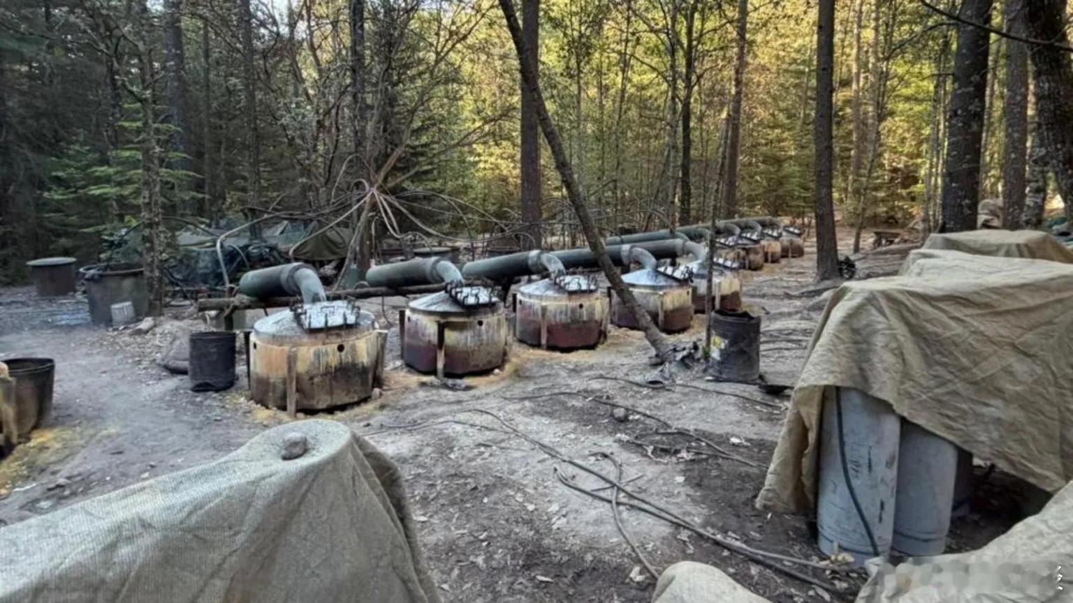 【在墨西哥车祸死亡的FBI官员所扮演的角色正受到审视】[什么是“长臂管辖”，什么