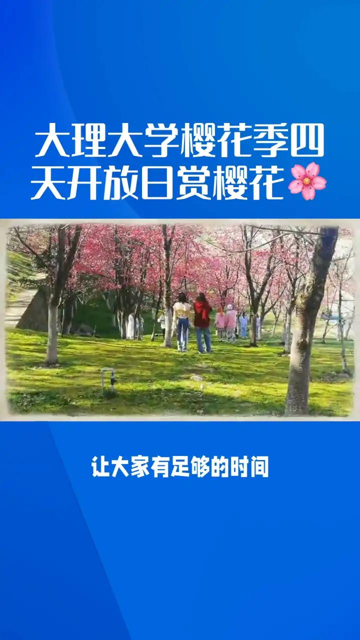 🌸🌸🌸大理大学樱花季，漫步花海，打卡拍照好去处！
大理大学樱花季四天开放日