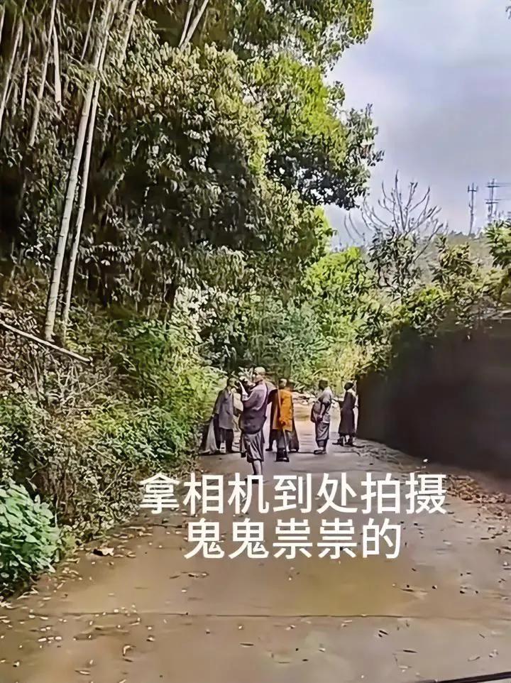 难怪被人们关注到了呢！这样的反常行为太多了。