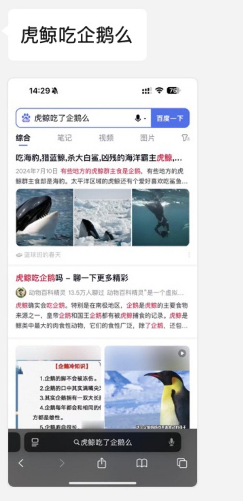 阿里大文娱更名虎鲸文娱可能企鹅在虎鲸食谱上吧…[doge] ​​​