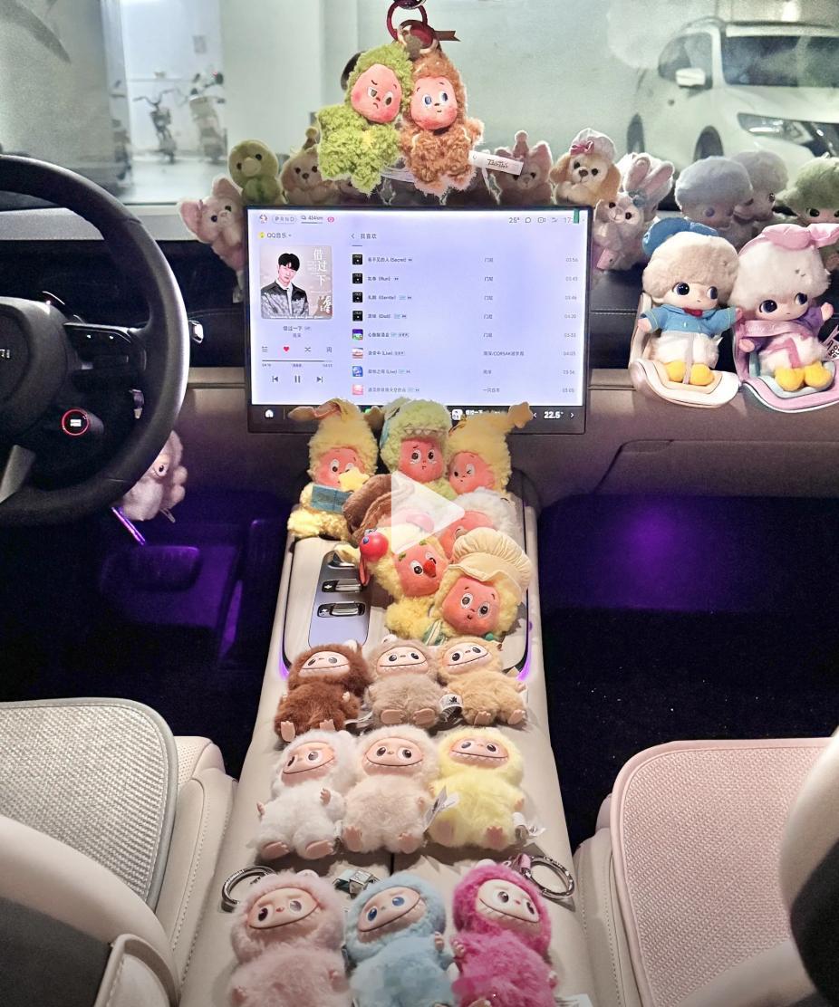 不要在车里放小玩偶了看着还是挺震撼的，在“痛”包和各种“痛”车的延伸下，车里能摆