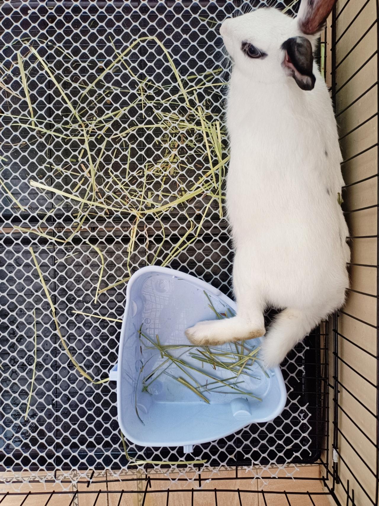 不同时期各种躺躺躺